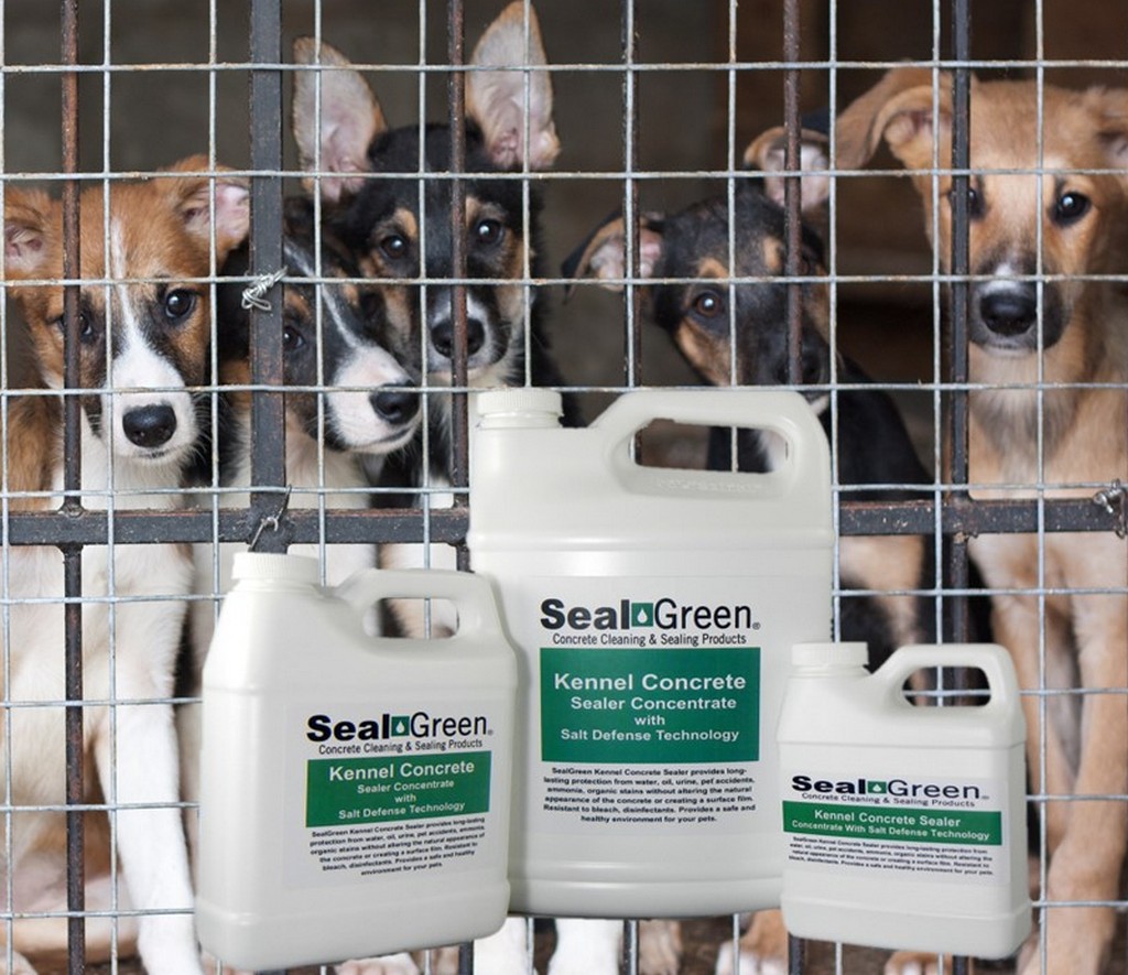 I am ordering the kennel cleaner and kennel sealer products for my outdoor patio. I also have one of the classic co